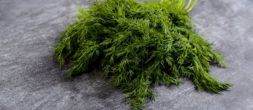 Зелень больше не замораживаю и даже не сушу на зиму: делаю из укропа, петрушки и чеснока ароматную приправу, которая может храниться годами