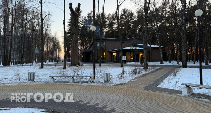 Арктическое вторжение придет в Центральную Россию на следующей неделе: синоптики прогнозируют -5