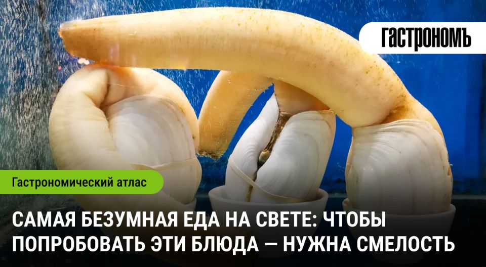   :     