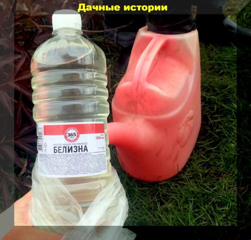   :       