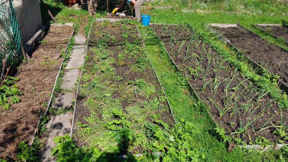 Как справиться с весенним беспорядком на даче: советы опытных садоводов