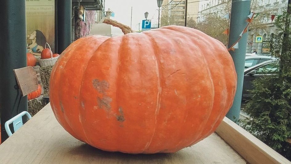 Сочетаем вкусы и традиции: Хабаровск празднует день тыквы