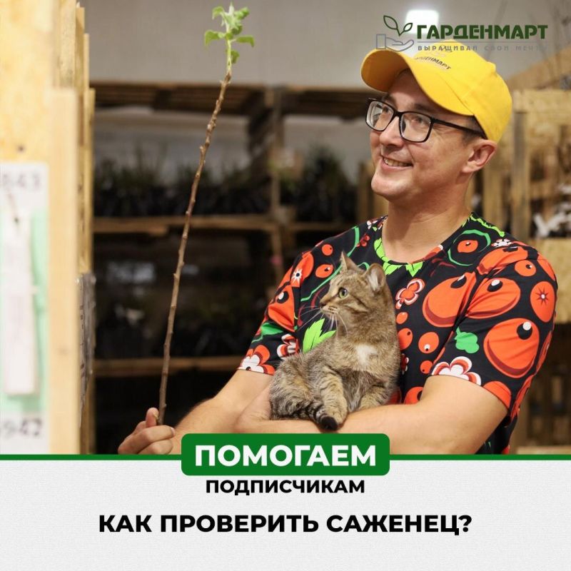 Разгадываем тайны саженцев: как узнать, жив ли он на самом деле?