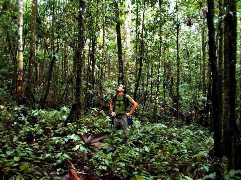 ����� ����������� ���� �������