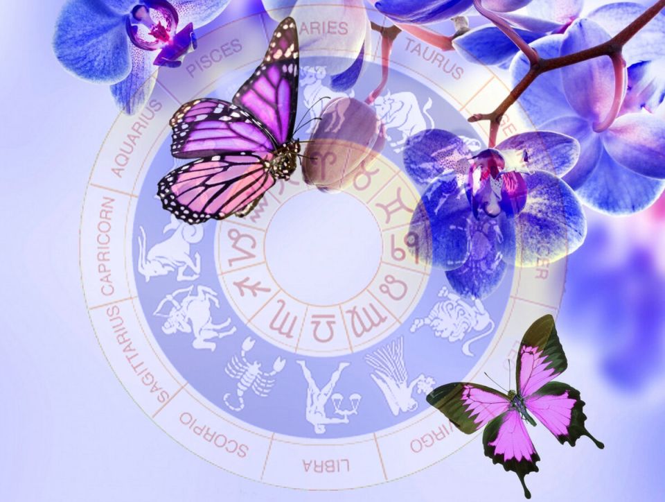 Как знаки зодиака влияют на выбор растений