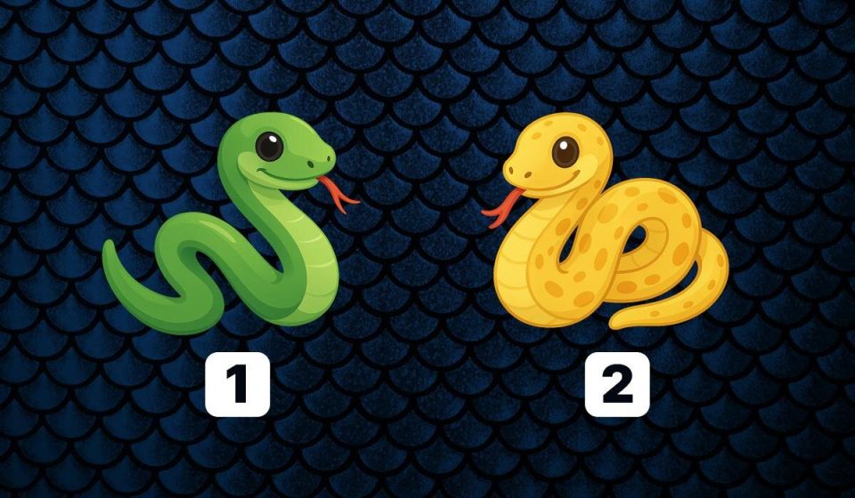 ��� ��� ��������� �� ������? ������� ������ � ������� ����� �������� �����