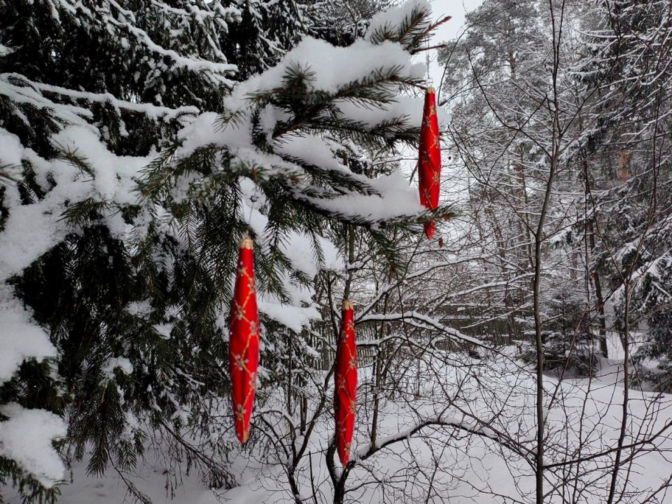 ��� �������� ����� ������� ���������� ���������: ����������� ������ � ����