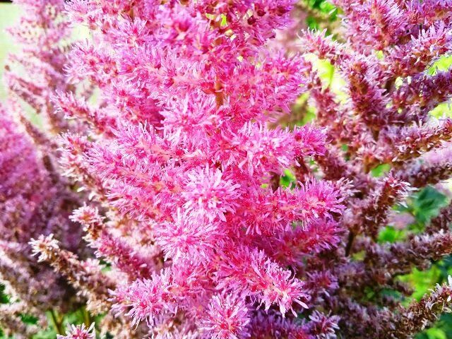 ��������: ��� ��������� �� ��������� ����������� ����� ��������� ��������