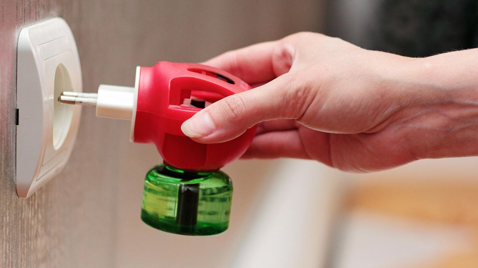 ���� ����������� �������: ���������� �������� �� ������� ������������ ����� ������ ���