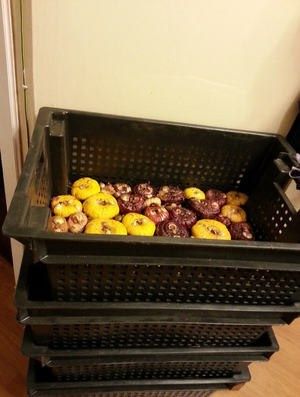 ����������: ������� �������� � ������������ ��� ��������� ������