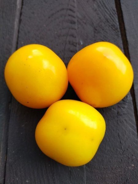 ����� ��� ������: ��������� ����� ��� ������ �������� ���