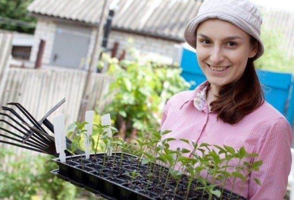 ����������� ����� ��� �����: ������� ��������� ������