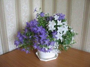 ���������: �������� ������ ����� � ������� � ����� ����