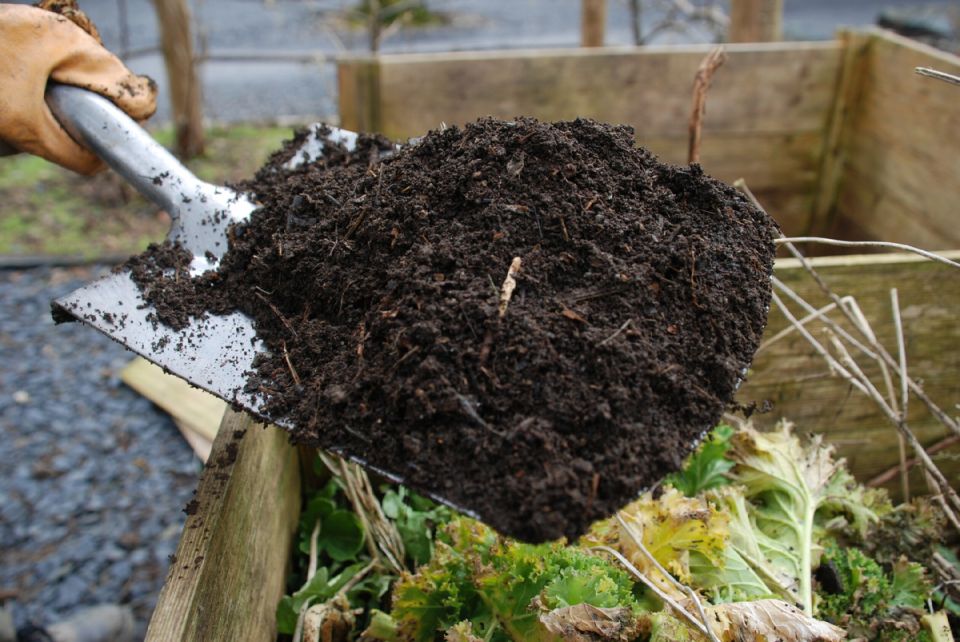 ��� ������ ����� ���� �������� ��� �������� ������� �������