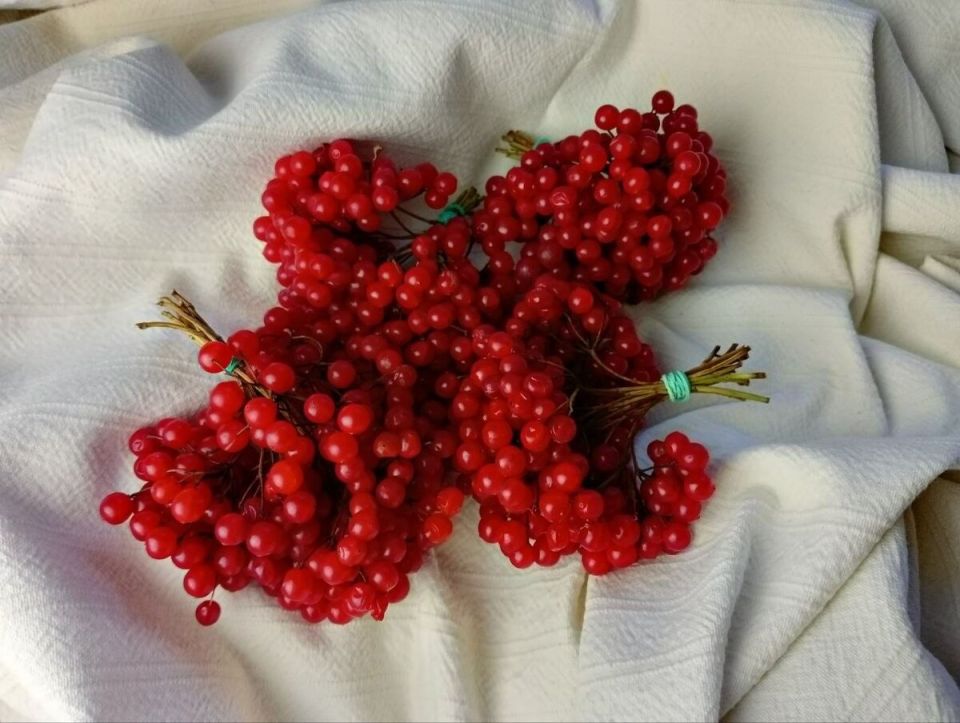 ������: ����������� �������� ��� ���� �������