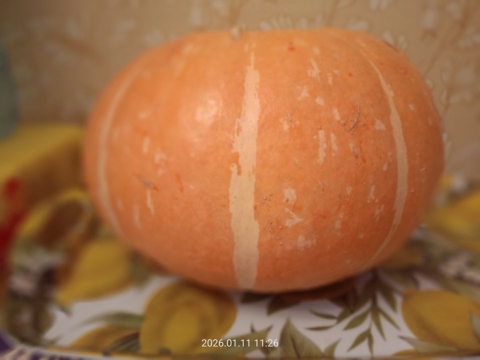 ����� ����������� ����� � ������� � ���������