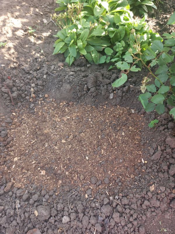 ��� �������� ����� � ���� � ��� �������� ������ �����, �� ����������