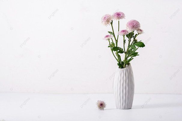 ��������� ����� ��� ���� � ������� � �����������