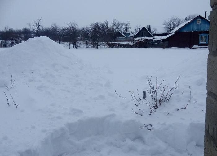 ��������� �������� ������� �� ������� ����� �������� ������� ������������ � �������