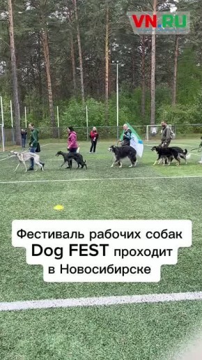    ...  ?