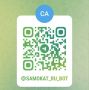 На недобросовестных водителей электросамокатов можно пожаловаться через Telegram-бот