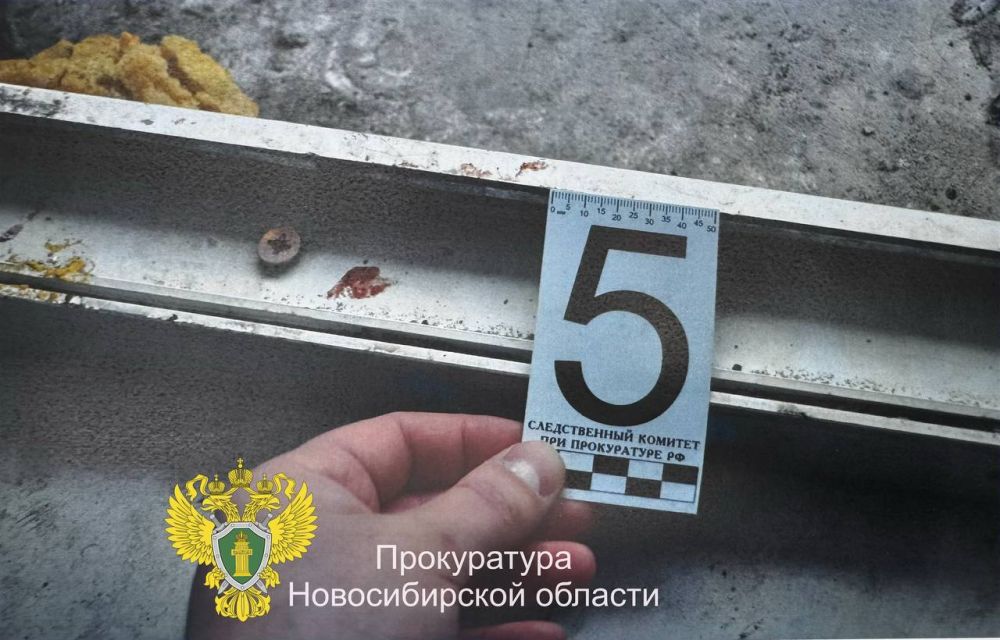         ,   11  
