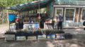 750 килограмм фруктов и овощей изъяли у незаконного торговца в Кировском районе