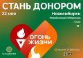 В Новосибирске зажгут факел Всероссийской эстафеты Огонь жизни