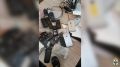 В Новосибирске расследовано уголовное дело, возбуждённое по фактам серии мошенничеств