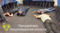 Дверь закрыта? Мы в окно! Всех поймаем всё равно!