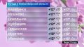 Вести Новосибирск