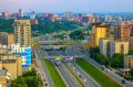 Председатель СК России поручил доложить о результатах проверки по информации о непринятии мер к организации отлова бродячих собак в г. Новосибирске