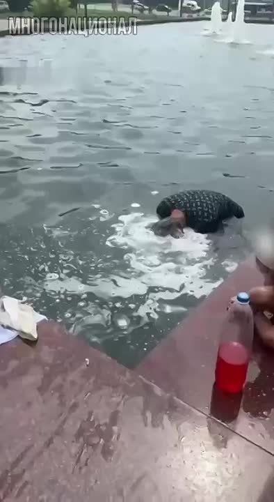   ,         