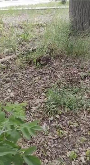  #.          