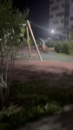  ,  .         
