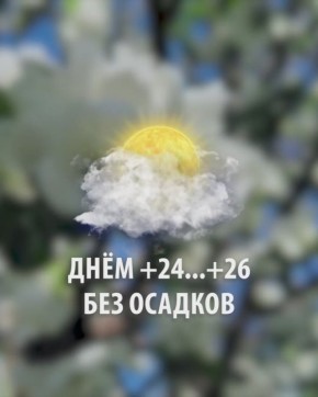  , !.  :    +24...+26