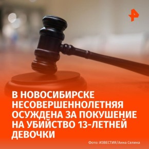            13-   ,    