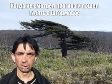 , ,           