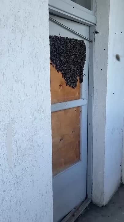  :        