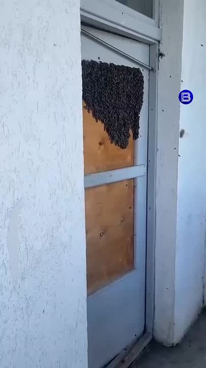   .       