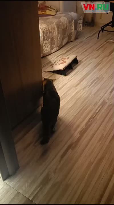  ,  ,   ,   ,  