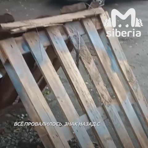 &quot;    