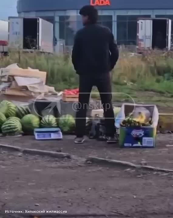    :       