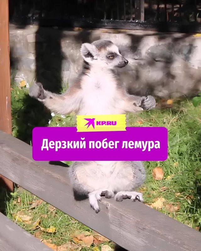 , !.  ,       