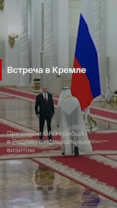    :. :                             &quot;&quot;...