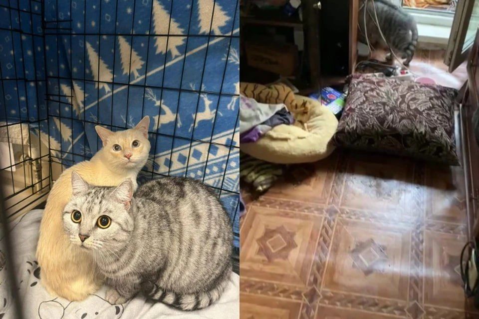   :      5        