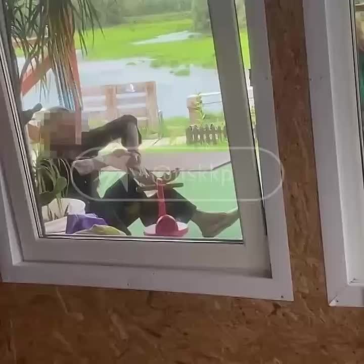   -            