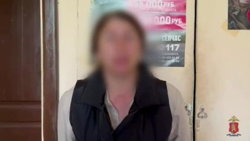   .     ,         93- 