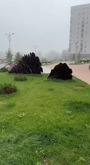      20 