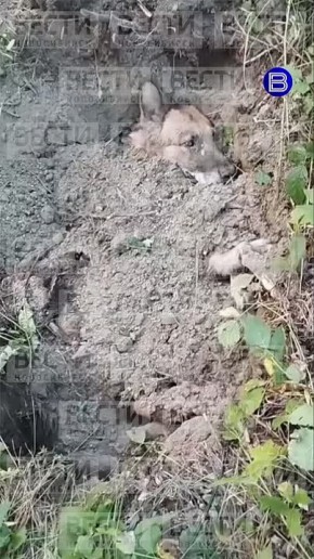  .          ,    